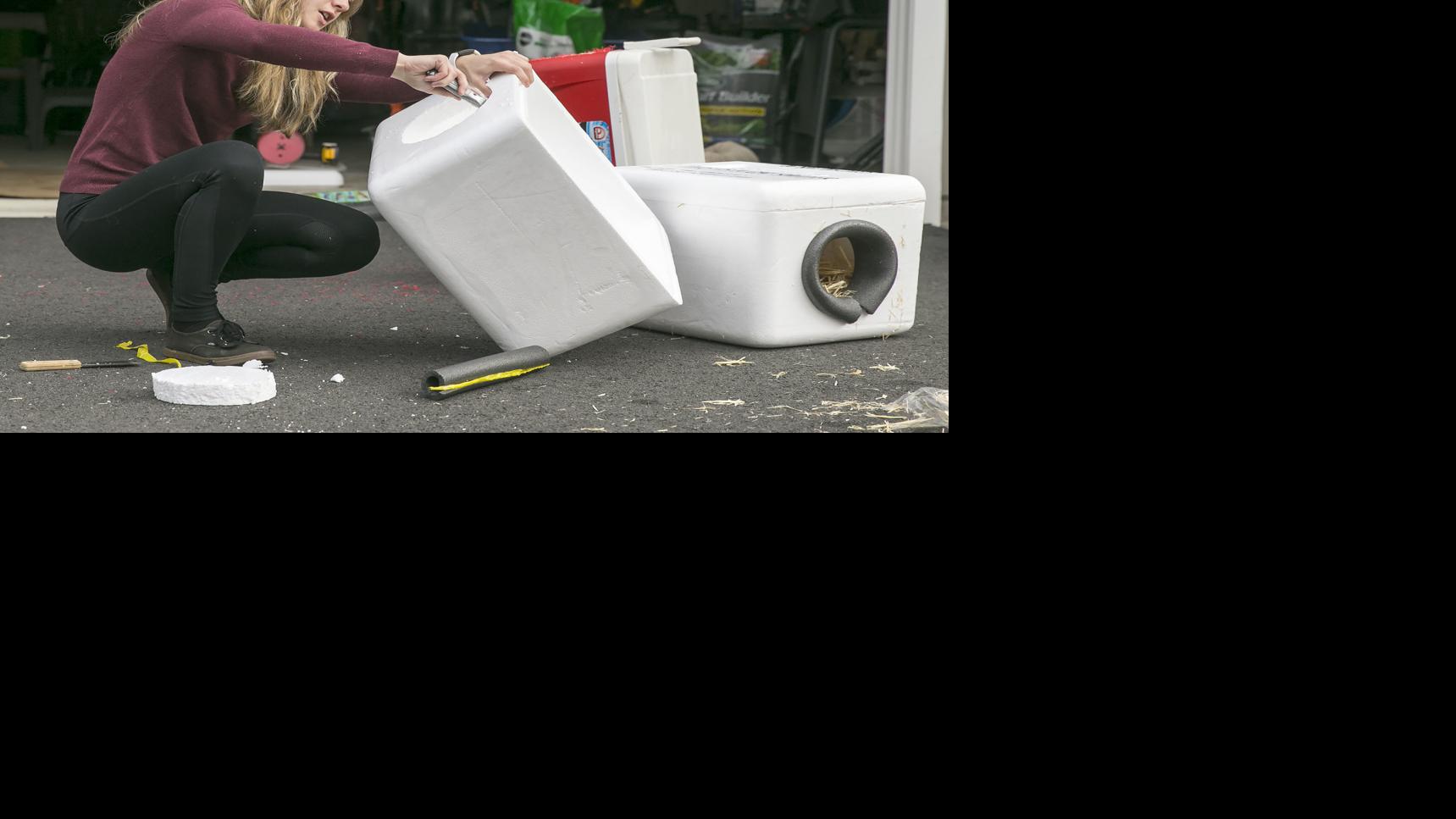 Stafford Woman Makes Winter Shelters For Stray And Feral Cats