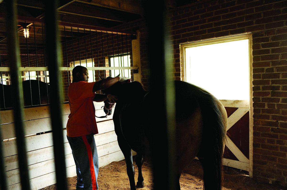 At James River Work Center, inmates work with rescued horses, including
