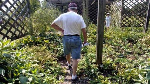 Heritage Visitors To Monticello S Tufton Farm Learn About Plants From Thomas Jefferson S Time Tufton Farm On The Net Town And Countycover Story Fredericksburg Com