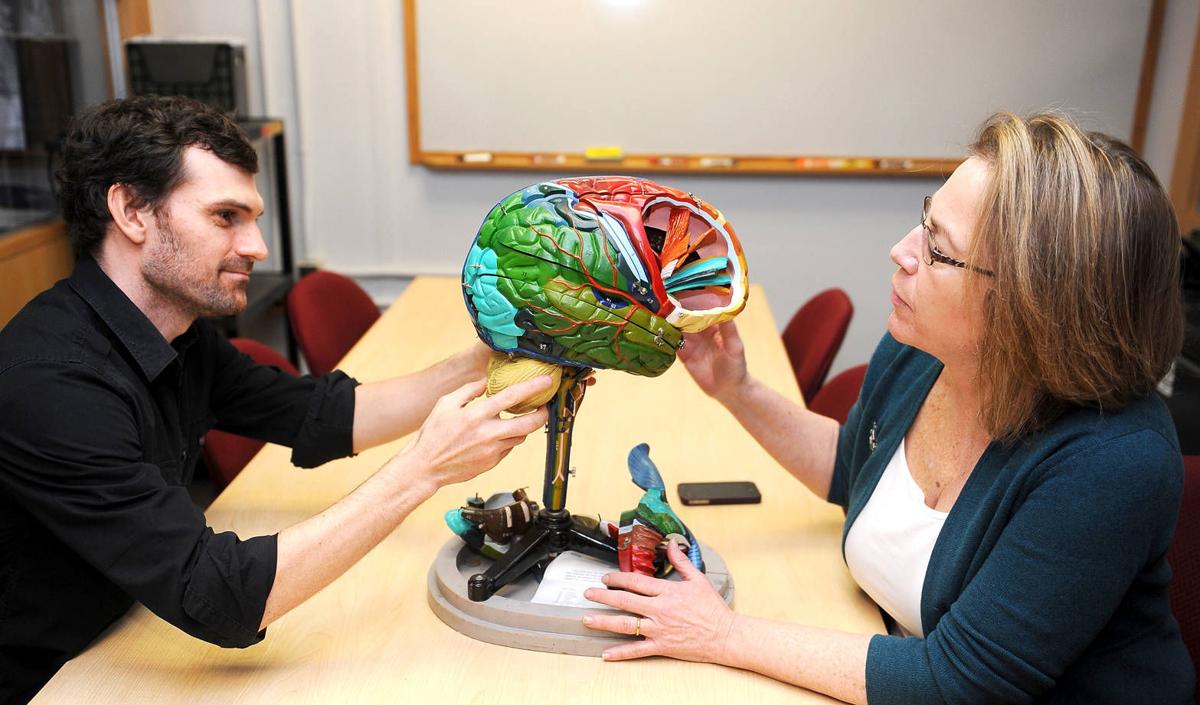 Studying Stroke Survivors Gives Researchers A Window Into How We Spell Healthy Living Fredericksburg Com Healthy implies full strength and vigor as well as freedom from signs of disease. studying stroke survivors gives