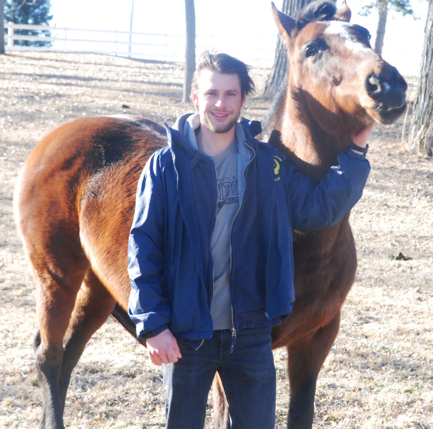 thoroughbred horses rocking horse