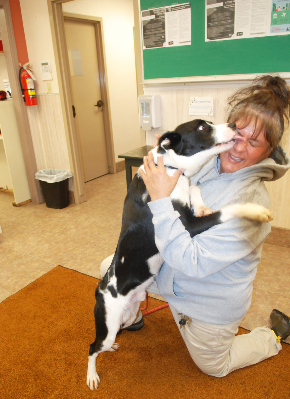 fremont humane society