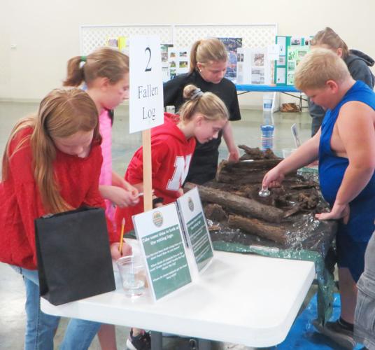 youth fair photo 1