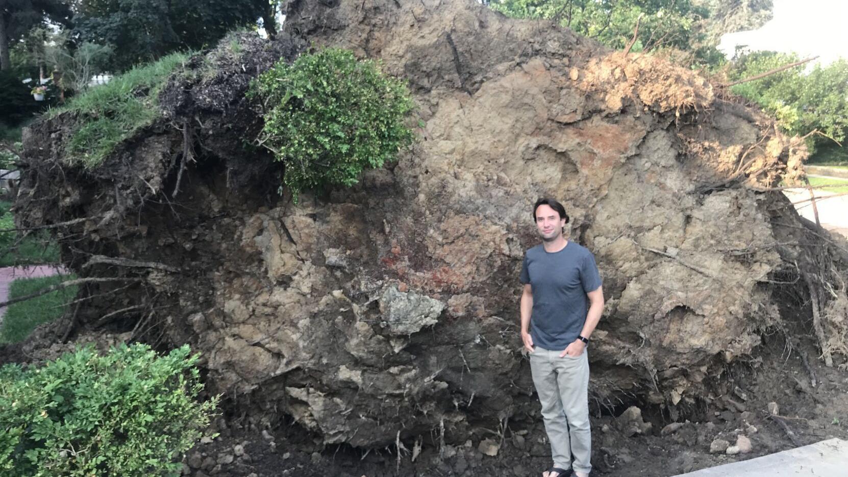 Giant 82-year-old oak tree in Omaha falls during storm - Vimarsana News