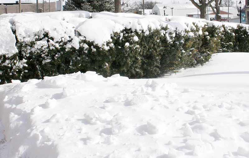 Snow
