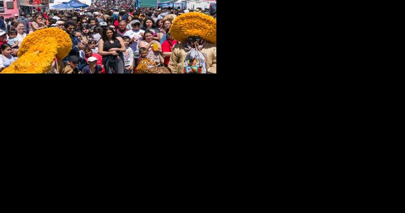 Take a few minutes to plan your weekend by browsing through local entertainment options - Vimarsana News