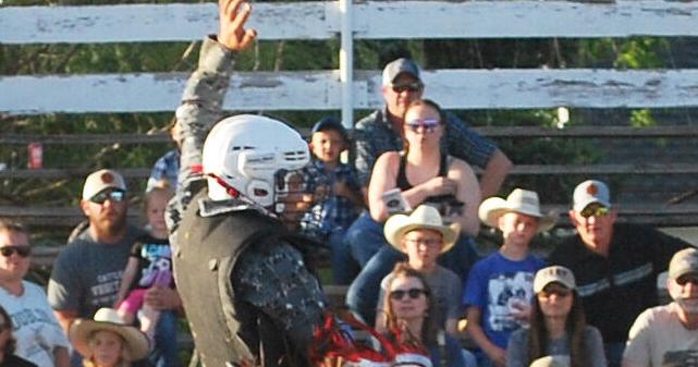More than 700 on hand for third annual Battle of the Bulls - Vimarsana News