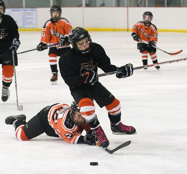 Squirt Hockey, Fremont Flyers, 3.8.15 | Homepage | fremonttribune.com