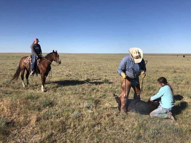 Raising a ranch family with values on Broken Arrow Angus Ranch