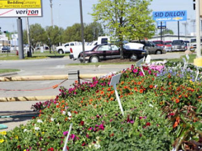 Dillons Flowers Dodge City Ks Best Flower Site