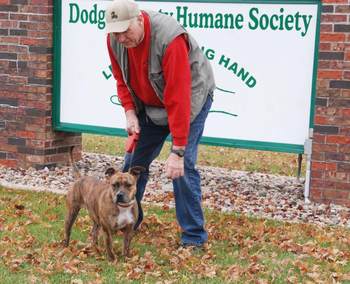 Man is friend to dogs at humane society Local News