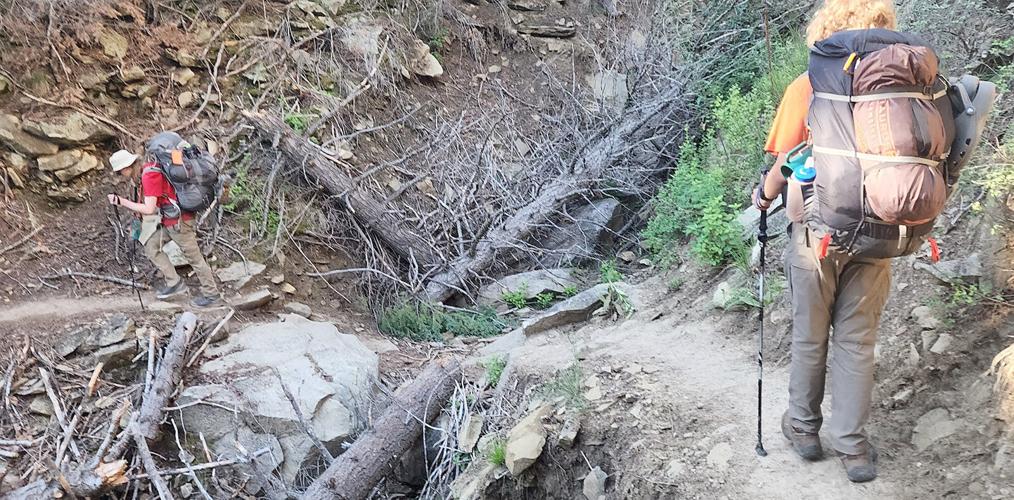 Philmont camp photo 12