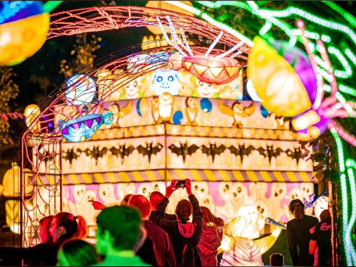 Ghouls Glow Lights Up Omaha Zoo Night Life Fremonttribune Com