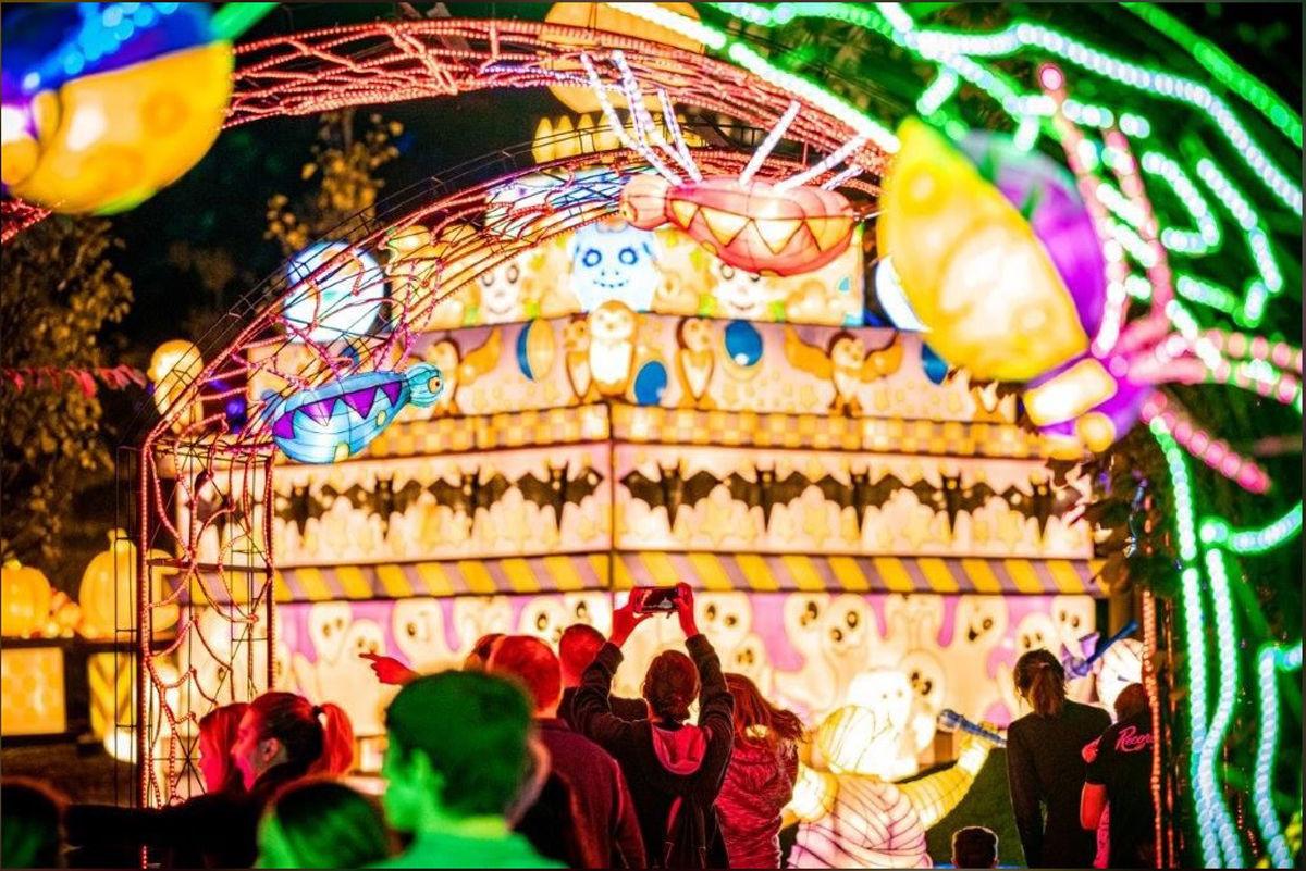Ghouls Glow Lights Up Omaha Zoo Night Life Fremonttribune Com