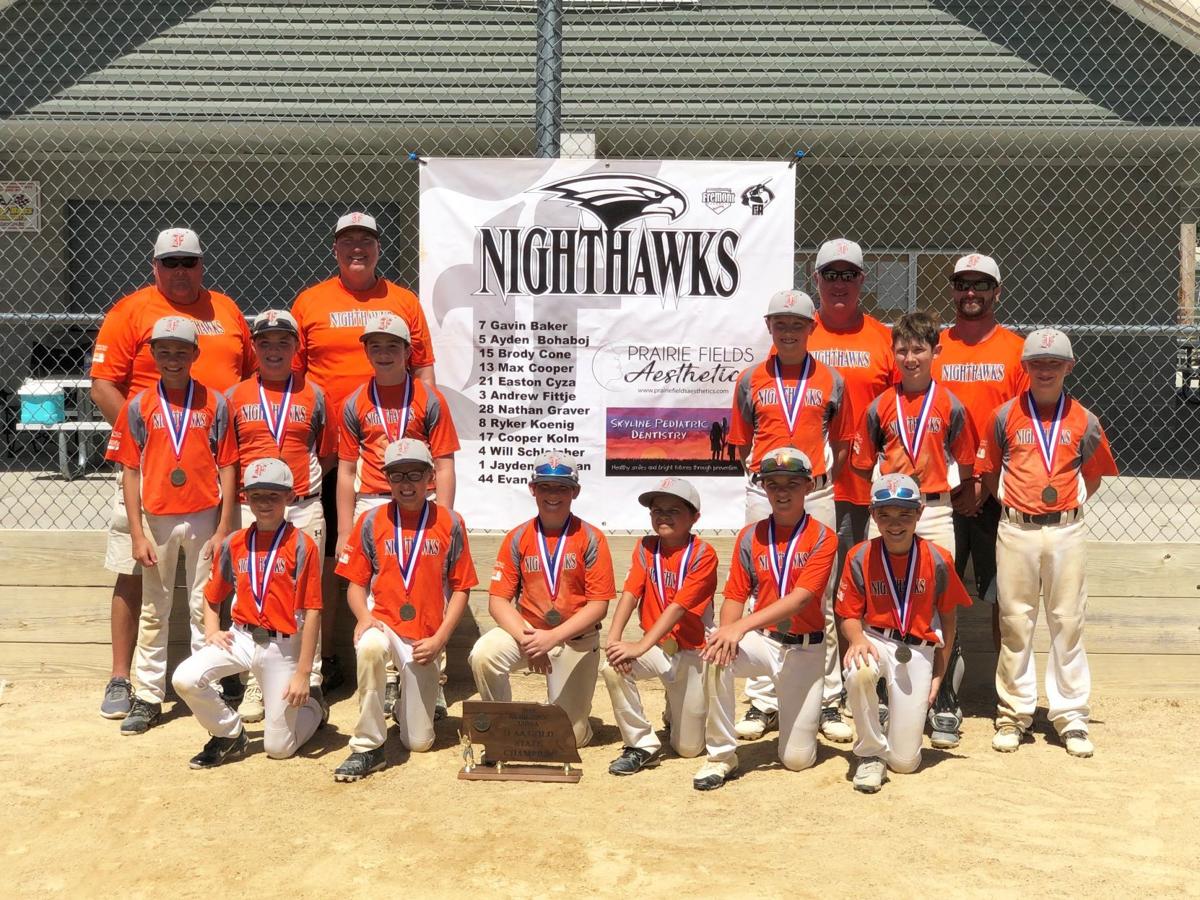 Fremont Nighthawks 11aa Fremonttribune Com