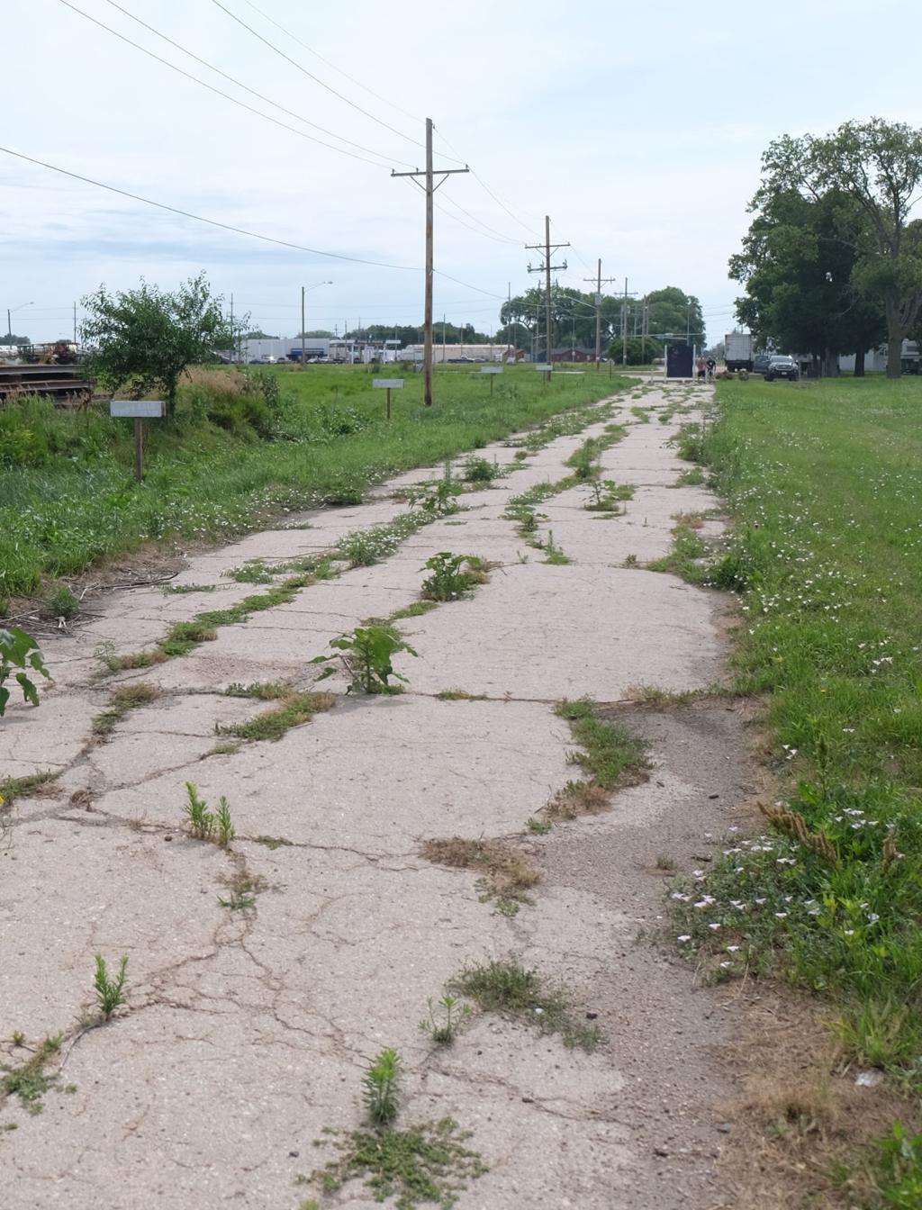 One Block Of Seedling Mile Still Exists Recreation