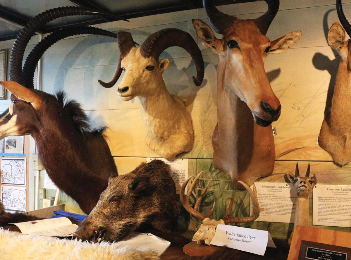 Entertainment calendar: Take in a Fun Pianos Show, a deer and game expo,  and more