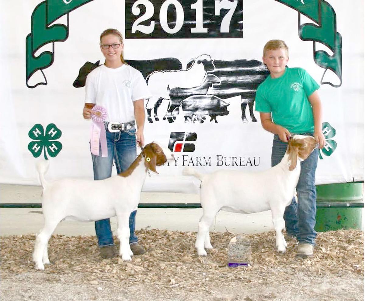 Cass County Fair 4H Meat Goat Show results posted News