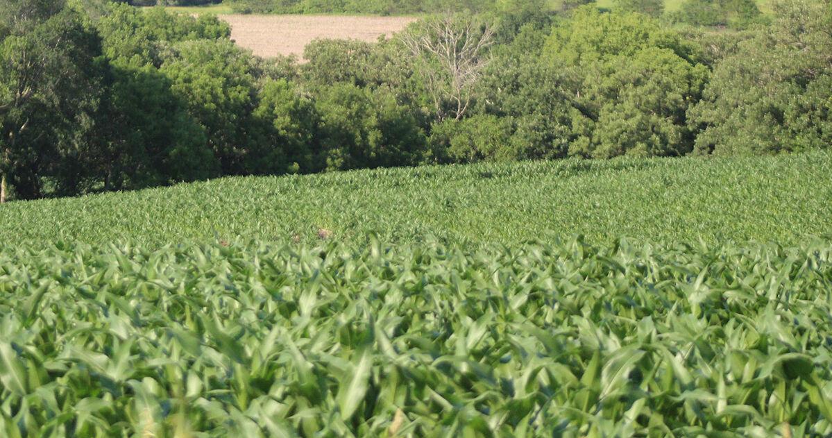 USDA has $31 million in grants available for farmers and ranchers