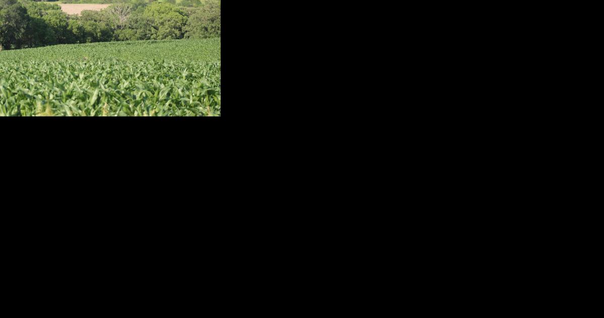 Clean Diesel Rebate applications being accepted through Dec. 15 - Vimarsana News