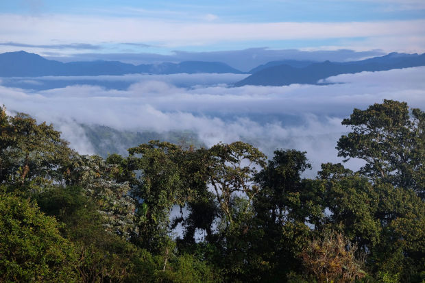 Exploring the cloud forest of Ecuador