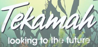 Tekamah sign