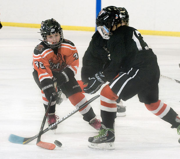 Squirt Hockey, Fremont Flyers, 3.8.15 | Homepage | fremonttribune.com