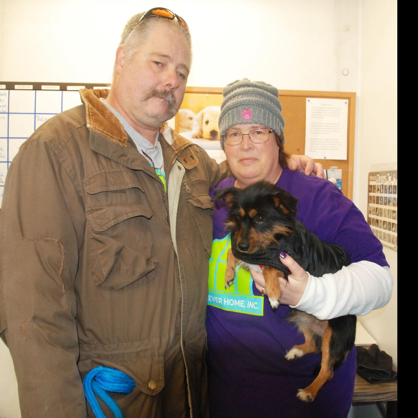 Furever Home Inc Rescues Dogs In Memory Of Former Fremonter Local News Fremonttribune Com