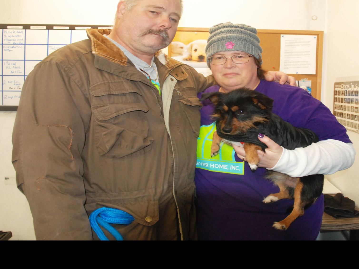Furever Home Inc Rescues Dogs In Memory Of Former Fremonter Local News Fremonttribune Com