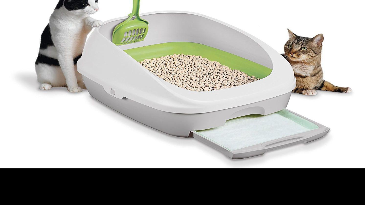 The Best Odor Free Cat Litter Boxes Pets Fremonttribune Com