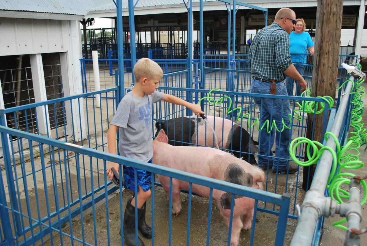 Dodge County Fair