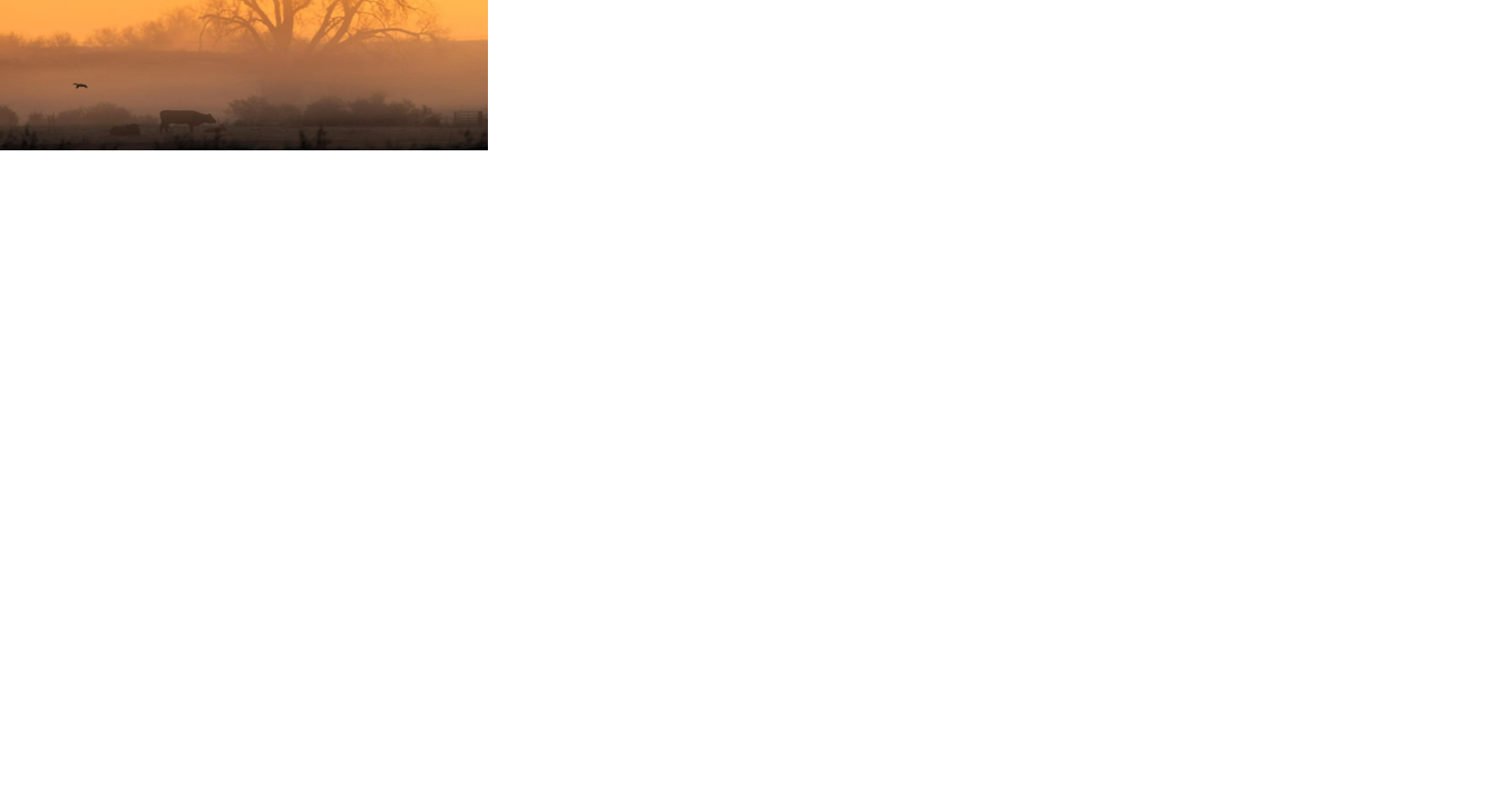 Very warm Monday in southeast Nebraska, but getting even hotter for Tuesday - Vimarsana News