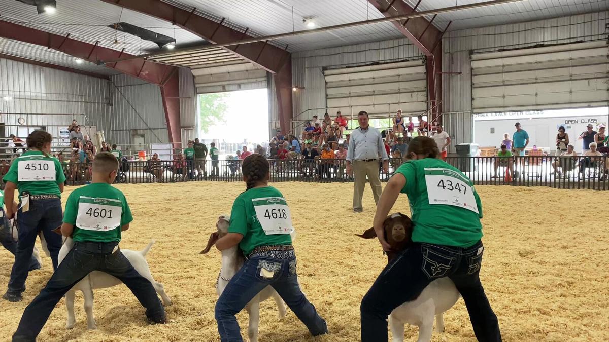 Saunders County Fair 2025