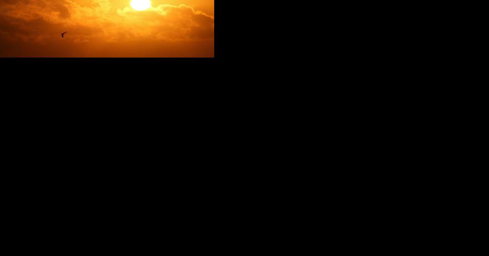 Heat mapping study revealed temperatures in eastern Omaha varied by 9 degrees - Vimarsana News