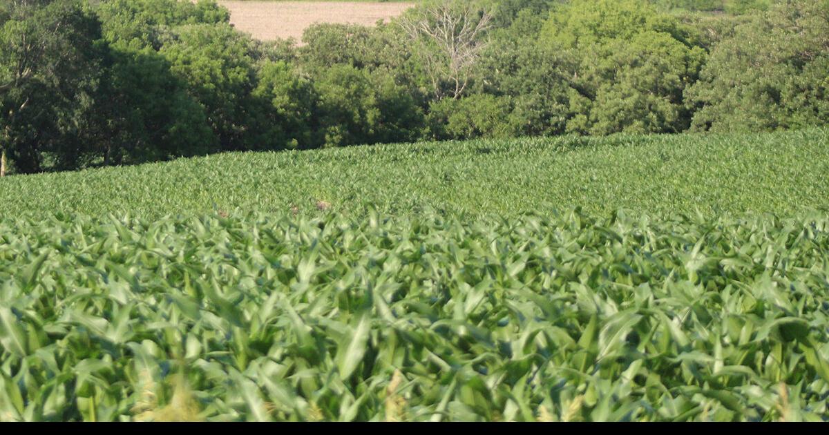 Fremont Area Chamber of Commerce chooses Excellence in Agriculture winners