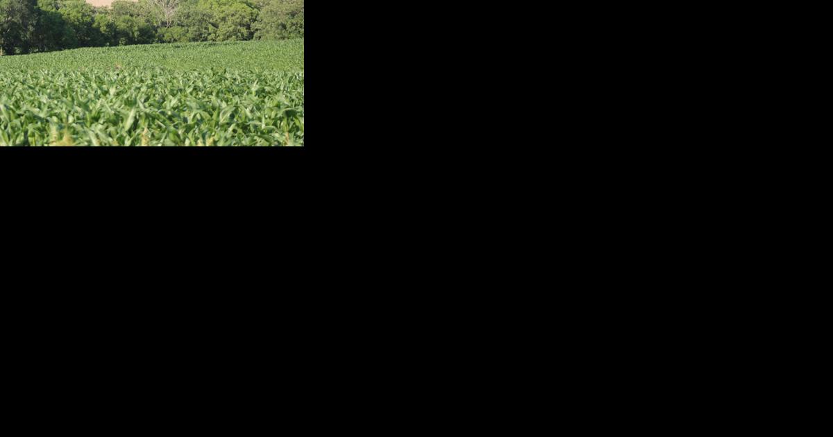 Fremont Area Chamber of Commerce chooses Excellence in Agriculture winners - Vimarsana News