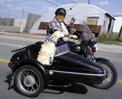 sidecar for dog motorcycles