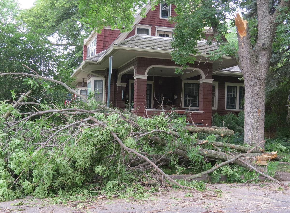 Fremont storm damage
