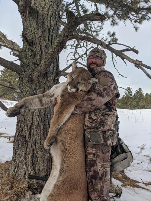Mountain lion hunting
