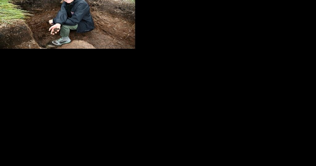 UNL student part of winning team at international soil judging contest - Vimarsana News