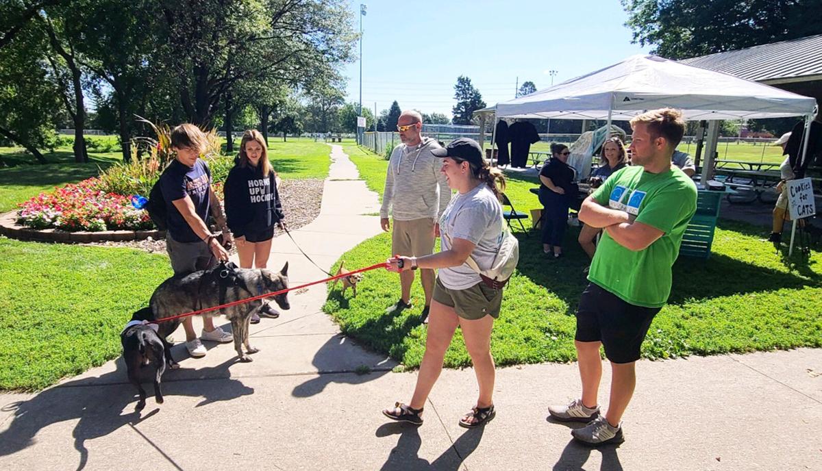 Pet licensing, registration with City of Fremont is underway