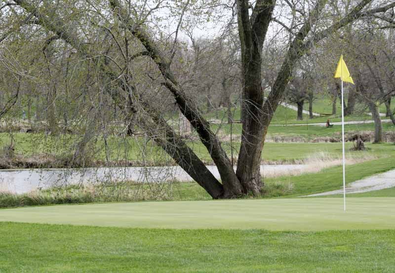 ElmwoodMurdock golfers win road dual
