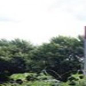 Browning Appears On Backyard Farmer Local News Fremonttribune Com