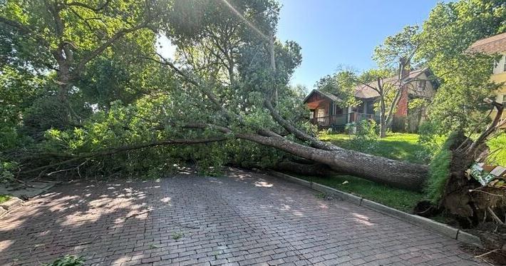 Tornado hits Lake McConaughy; Lincoln sees tree damage - Vimarsana News