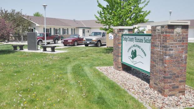 DCHS director seen modifying security system's recording settings, according to testimony - Vimarsana News