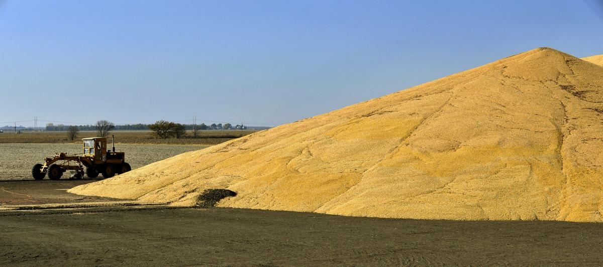 Avalanche of grain piling up on Nebraska ground