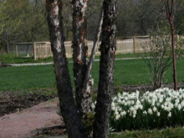 Unl Extension Offers Webinar Classes On Gardening Local News Fremonttribune Com