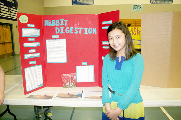 Buy science fair project