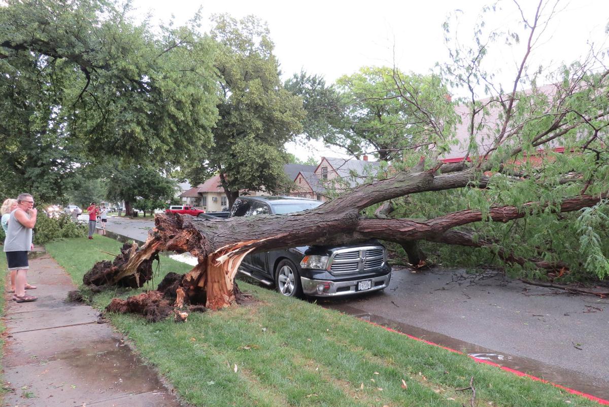 Storm causes damage throughout city News