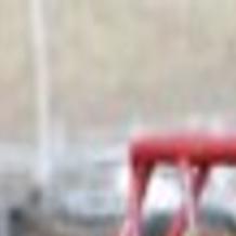 Area Families Enjoy Raising Longhorn Cattle Local News Fremonttribune Com